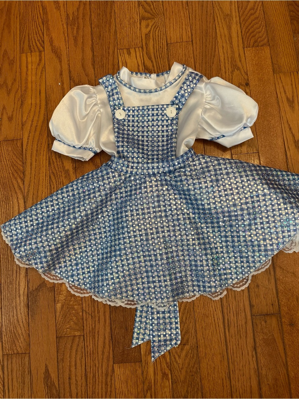 Rubies Wizard of Oz Dorothy Sequin Costume Dress Girls Size Small 4-6 Toddler